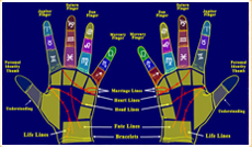 Palmistry